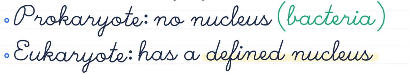 Close-up of a handwritten note with a highlighted phrase.