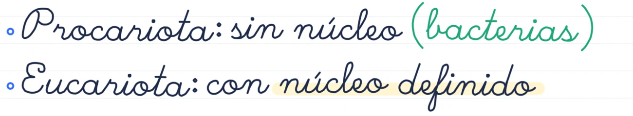 Detalle de una nota escrita a mano con una frase resaltada.