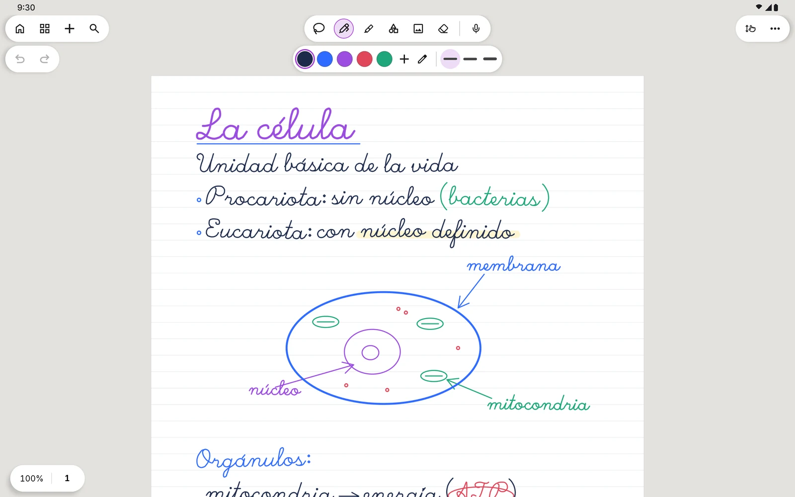 Una nota de biología escrita a mano en SwiftPen, con un diagrama de la célula.