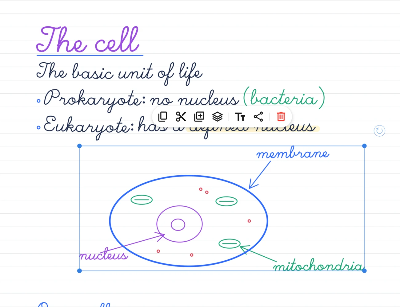The cell diagram selected with the lasso, with its action bar.